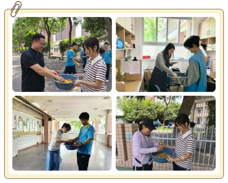 手?jǐn)X枇杷嘗甜果 筆戰(zhàn)中考折桂枝